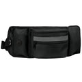 Multifunctional Pet Training Waist Bag